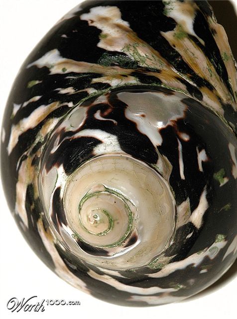 Photography by Marian