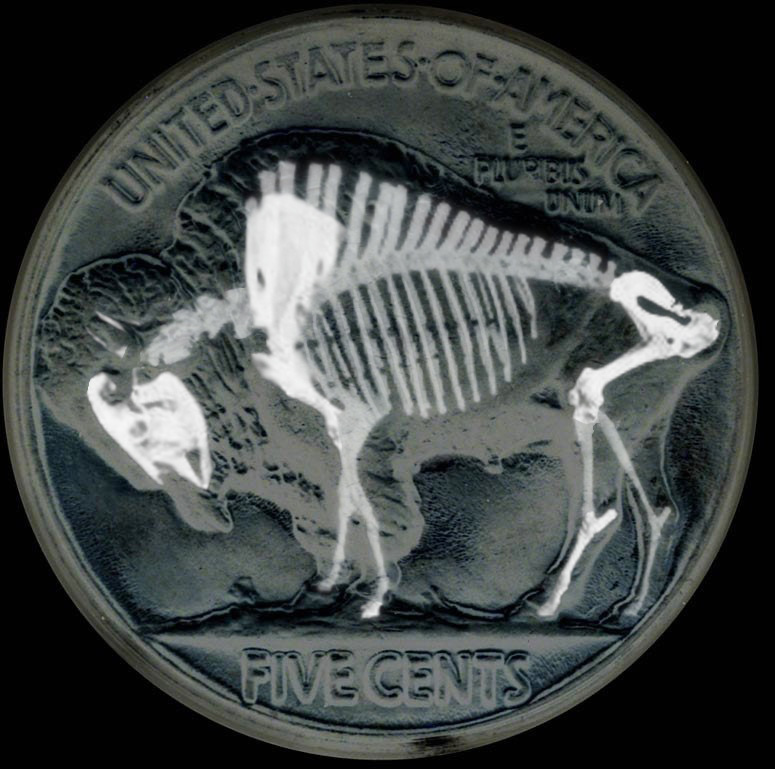 Photoshop Design by rspence for DesignCrowd (Community Contests) | Design #9066006