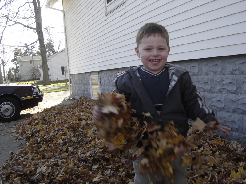 Fotografía por Milkbeard para DesignCrowd (Community Contests) | Diseño #9067647