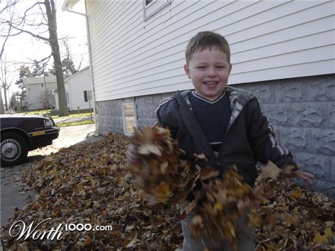 Photography by Milkbeard