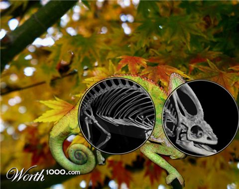 Photoshop Design by sabrnig