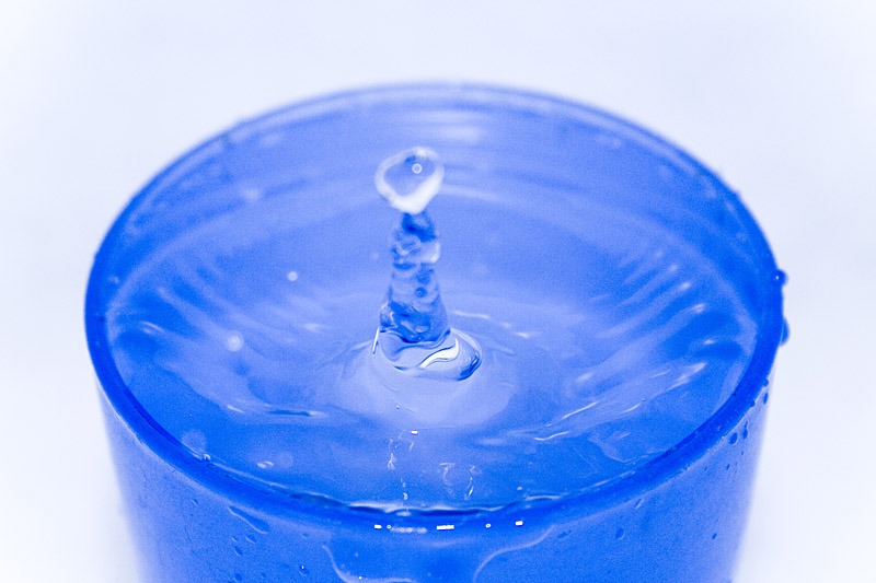 Fotografie von pedronurmi für DesignCrowd (Community Contests) | Design #9056483