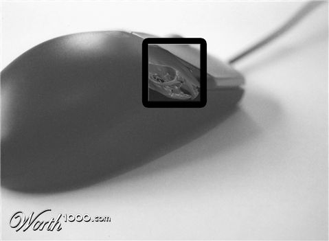 Photoshop Design by nimakharrazi
