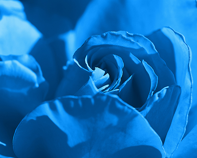 Fotografía por smarti77 para DesignCrowd (Community Contests) | Diseño #9056505