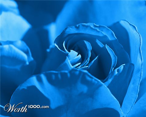 Photography by smarti77