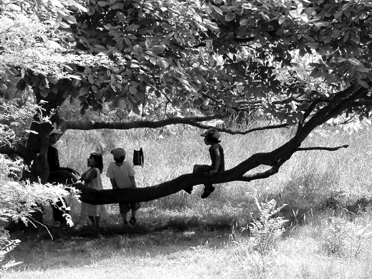 Fotografie von Craigr1978 für DesignCrowd (Community Contests) | Design #9067680