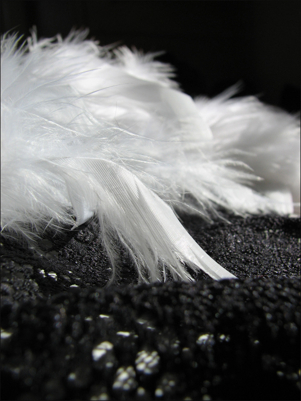 Photography by nowheregirl for DesignCrowd (Community Contests) | Design #9057910