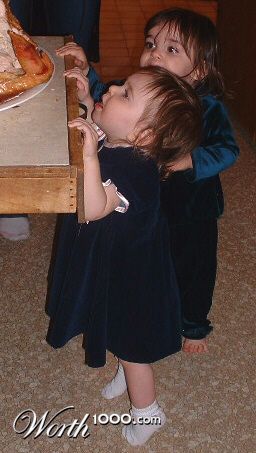 Photography by Flutterby