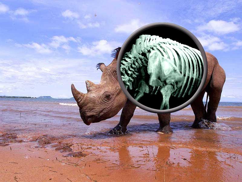 Photoshop-Design von ewarning für DesignCrowd (Community Contests) | Design #9066164