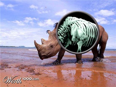 Photoshop Design by ewarning