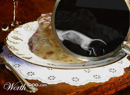 Photoshop Design by Anameasaname