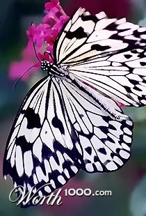 Photography by ALS14213