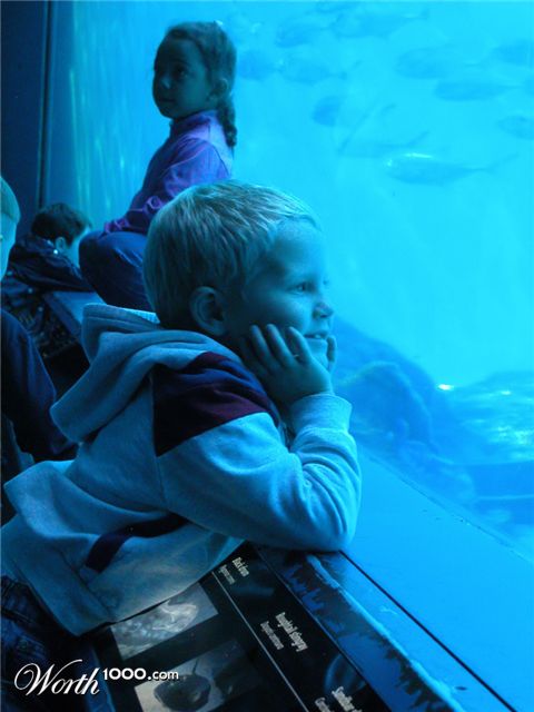 Photography by rml1963