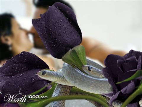 Photoshop Design by ezkapealterno