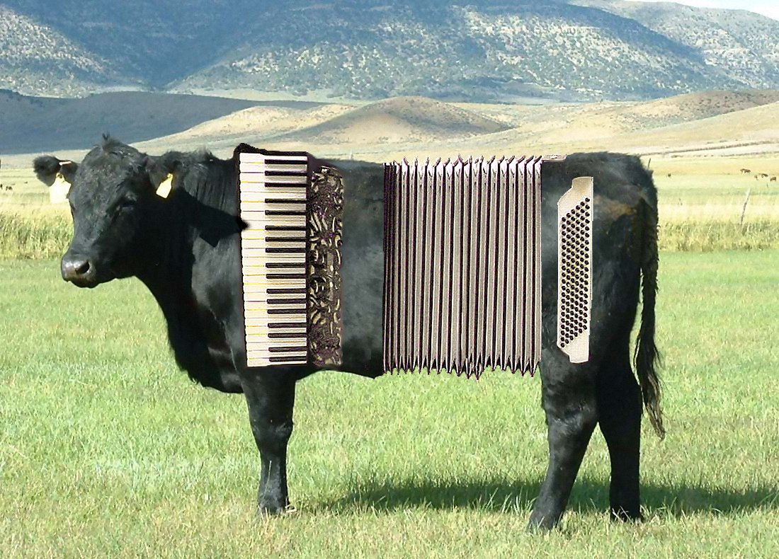 Photoshop Design by JClark8220 for DesignCrowd (Community Contests) | Design #9065098