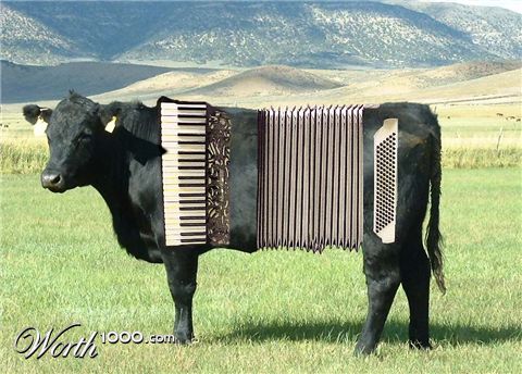 Photoshop Design by JClark8220