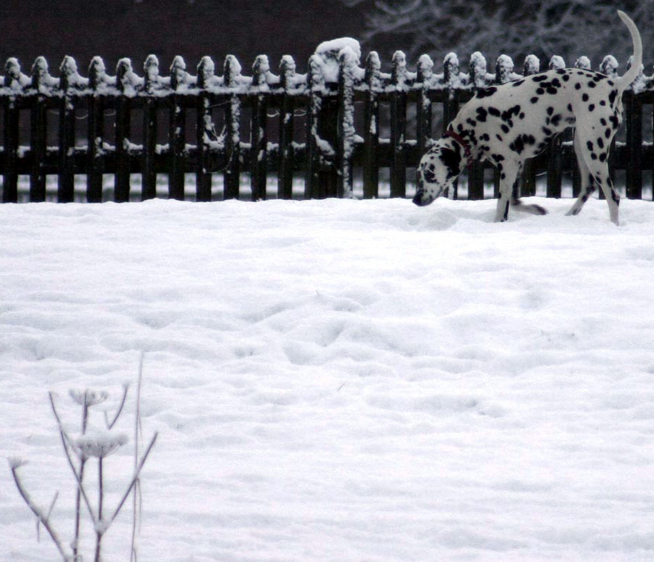 Photography by DurhamTyke for DesignCrowd (Community Contests) | Design #9058053