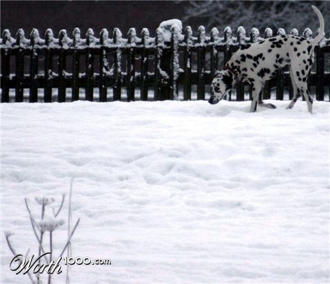 Photography by DurhamTyke