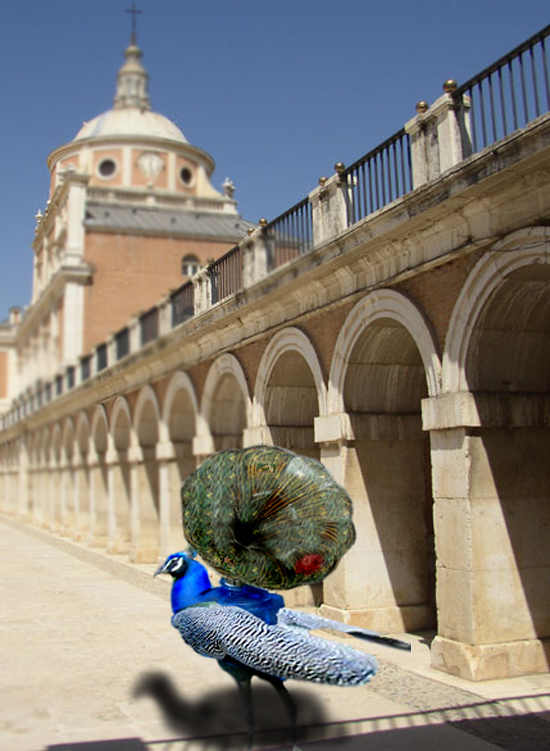 Photoshop Design by YumikoUkira for DesignCrowd (Community Contests) | Design #9065113