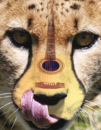 Diseño de Photoshop por whitebread1440 para DesignCrowd (Community Contests) | Diseño #9065155