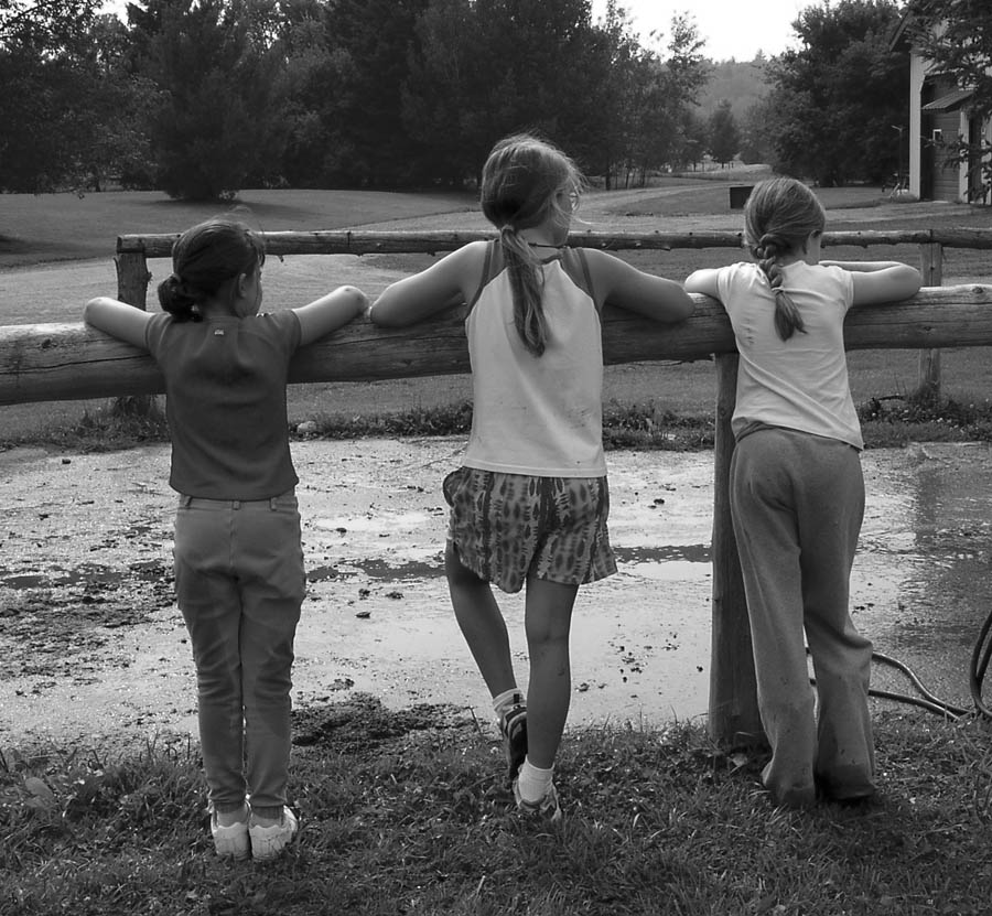 Photography by wheelerlaura for DesignCrowd (Community Contests) | Design #9067702