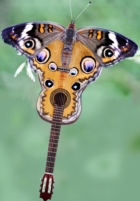 Photoshop Design by funky123 for DesignCrowd (Community Contests) | Design #9065135