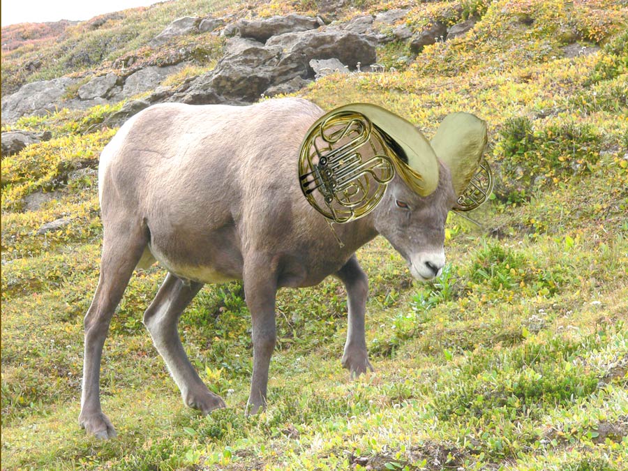 Photoshop Design by SlugBait for DesignCrowd (Community Contests) | Design #9065146