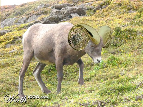 Photoshop Design by SlugBait