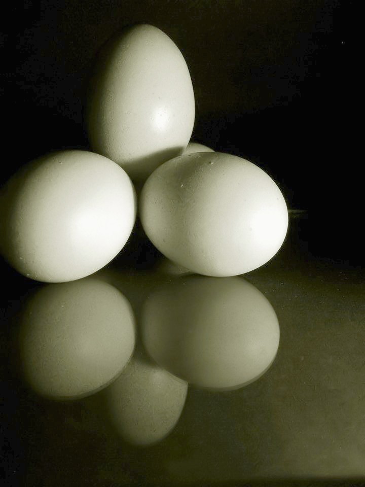 Photography by Isabella2006 for DesignCrowd (Community Contests) | Design #9048405