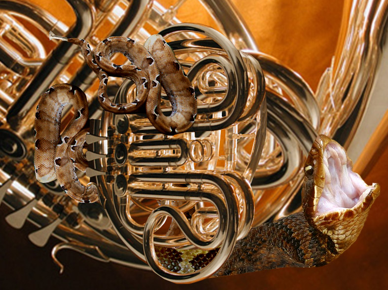 Photoshop Design by EyEars for DesignCrowd (Community Contests) | Design #9065198