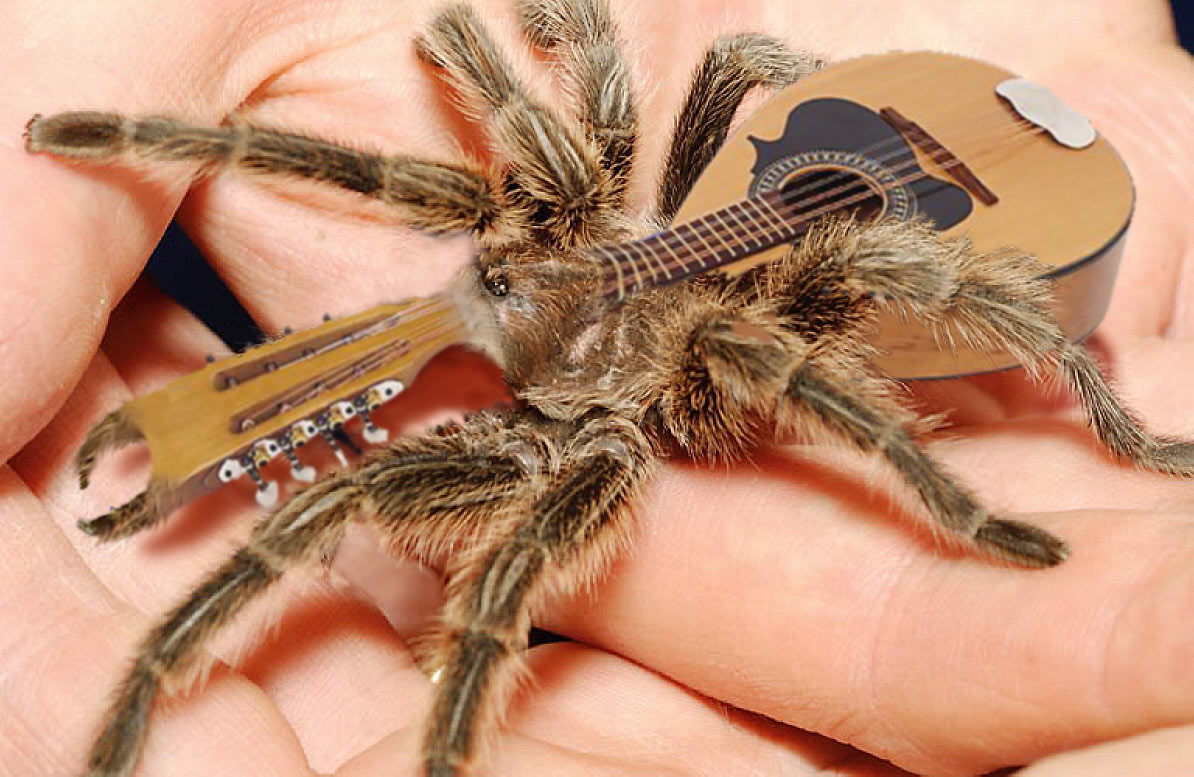 Photoshop Design by spiraleye for DesignCrowd (Community Contests) | Design #9065184