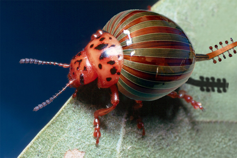 Photoshop Design by Geomania for DesignCrowd (Community Contests) | Design #9065221