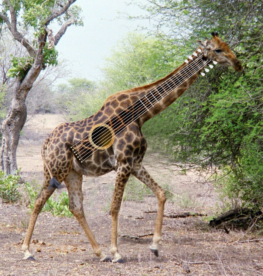 Design Photoshop par sherif1000 pour DesignCrowd (Community Contests) | Design #9065177