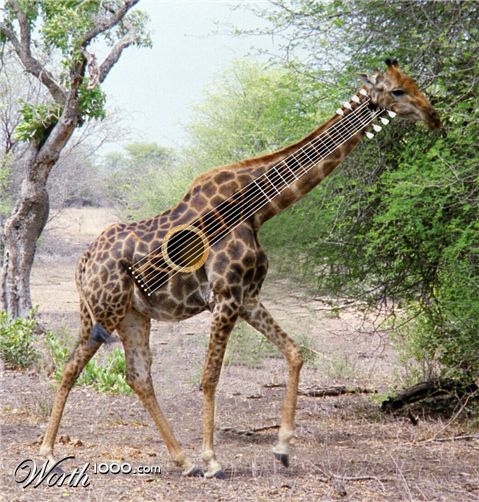 Photoshop Design by sherif1000