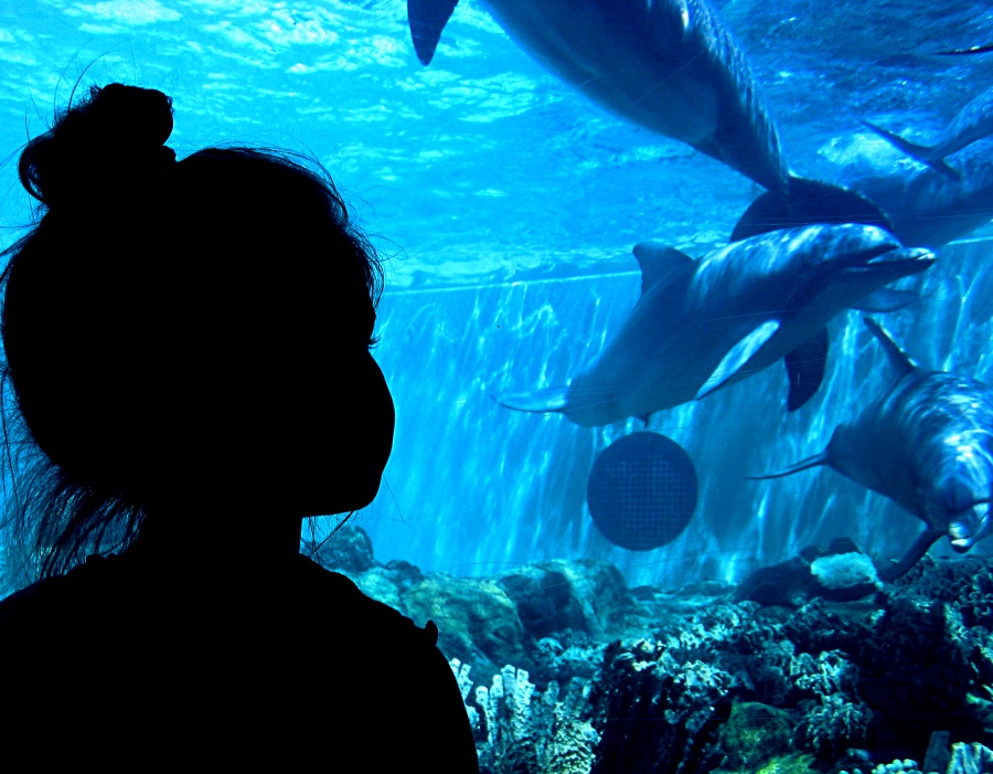 Fotografie von CurlyJ für DesignCrowd (Community Contests) | Design #9056647