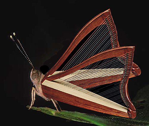 Photoshop Design by donzee for DesignCrowd (Community Contests) | Design #9065187