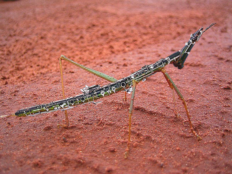 Design Photoshop par godzillatemple pour DesignCrowd (Community Contests) | Design #9065169