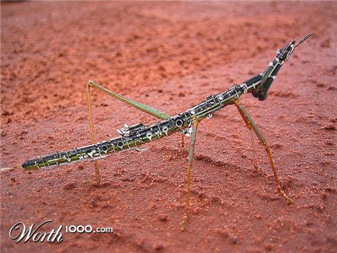 Photoshop Design by godzillatemple