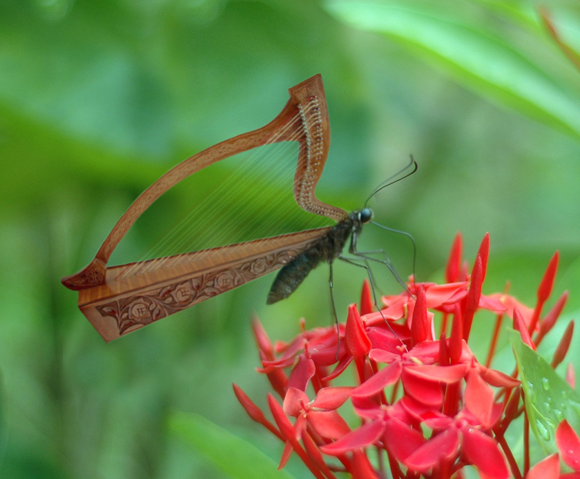 Photoshop-Design von MarindH für DesignCrowd (Community Contests) | Design #9065195