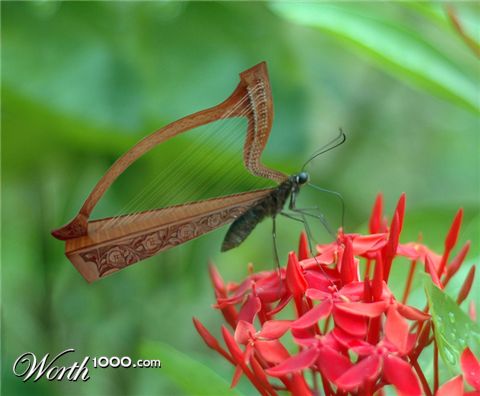 Photoshop Design by MarindH