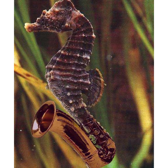 Diseño de Photoshop por h2oscienceguy081 para DesignCrowd (Community Contests) | Diseño #9065292