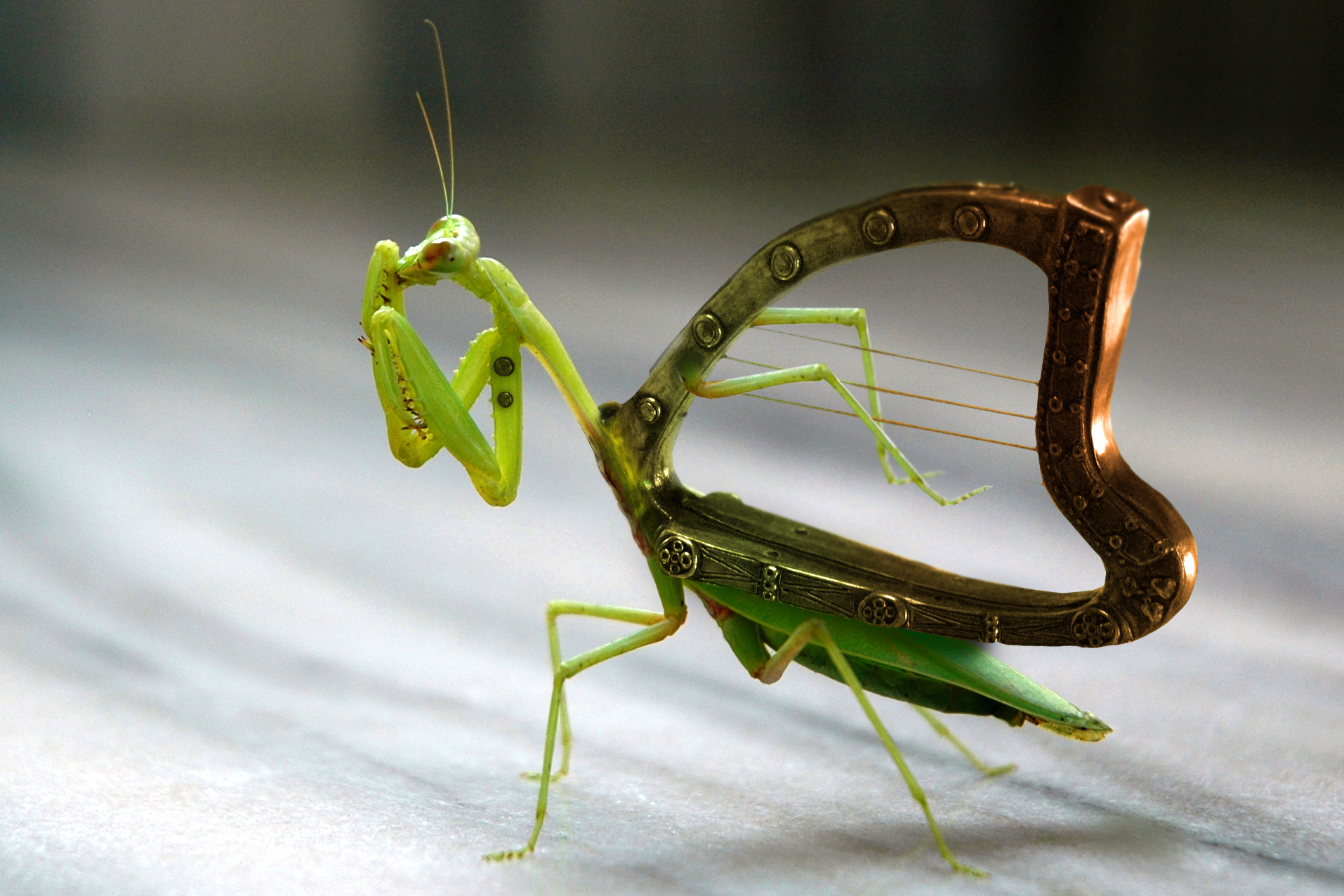 Photoshop-Design von shnuffy für DesignCrowd (Community Contests) | Design #9065276