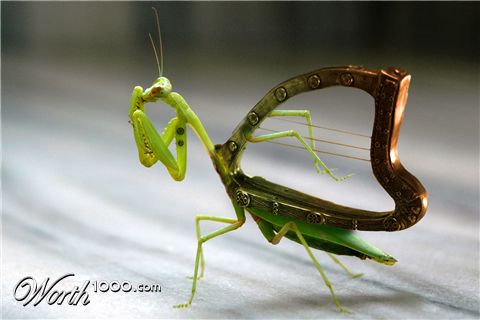 Photoshop Design by shnuffy