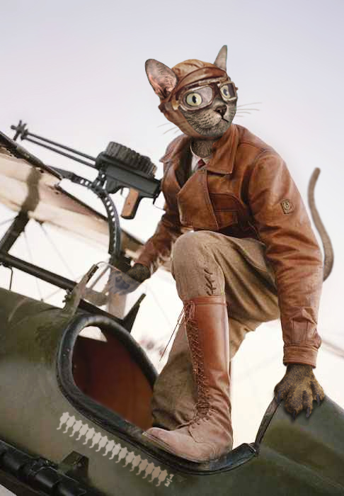 Design Photoshop par Anabole pour DesignCrowd (Community Contests) | Design #9050196