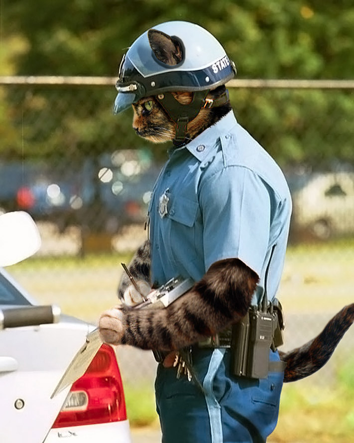 Photoshop Design by DannyHeinlein for DesignCrowd (Community Contests) | Design #9050200