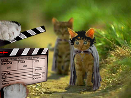 Photoshop Design by YumikoUkira for DesignCrowd (Community Contests) | Design #9050218