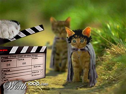 Photoshop Design by YumikoUkira