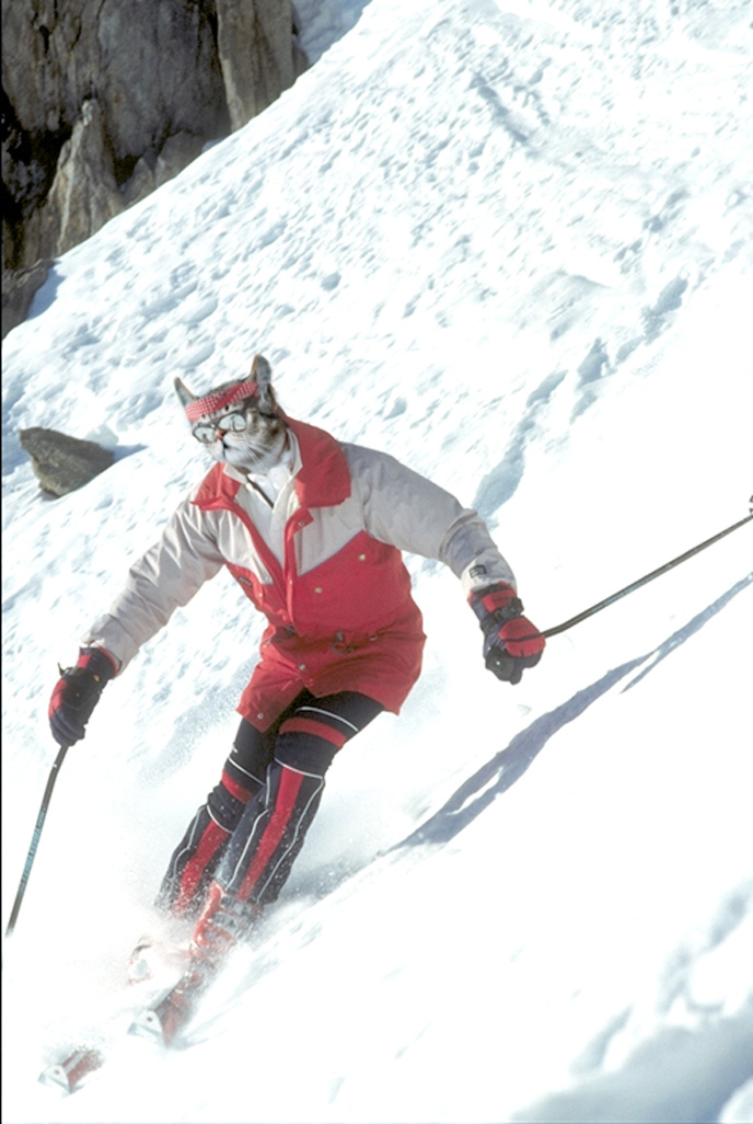 Design Photoshop par Pixeltron pour DesignCrowd (Community Contests) | Design #9050253