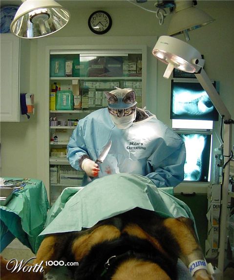 Photoshop Design by sugarcane