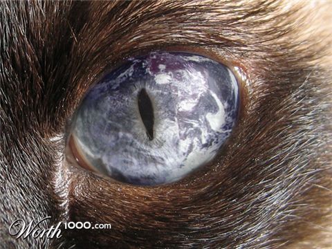 Photoshop Design by whitebread1440